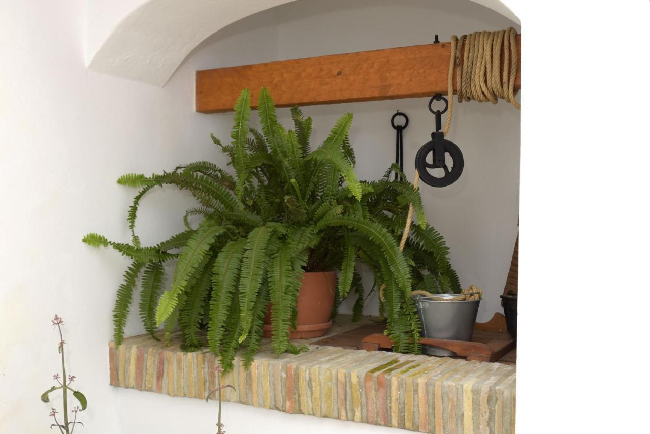 Apartmán Casa Arbonaida Vejer de la Frontera Exteriér fotografie